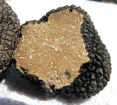 What is the Difference Between White and Black Truffles?