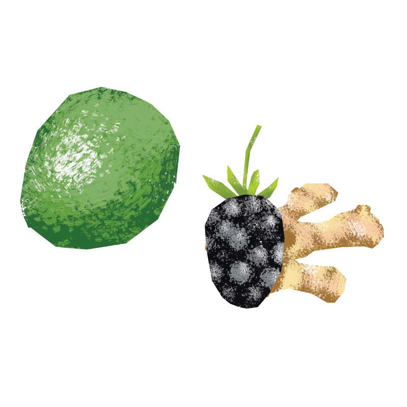 Persian Lime Olive Oil + Blackberry Ginger Balsamic (Black Friday Pairing)