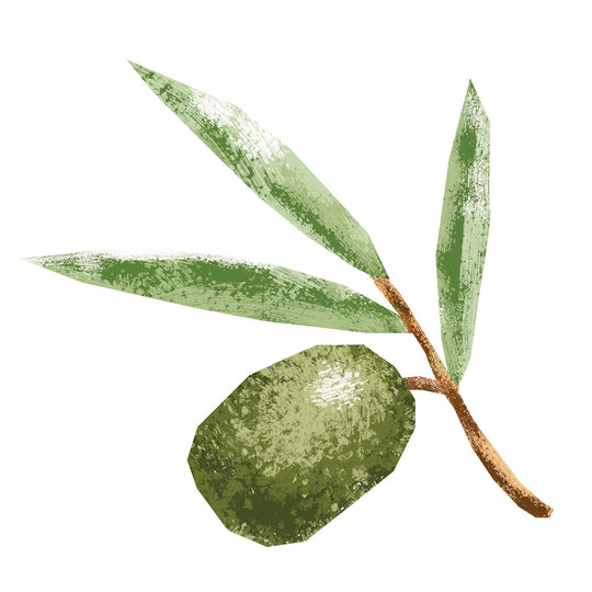 (Medium) Portuguese Arbequina Extra Virgin Olive Oil