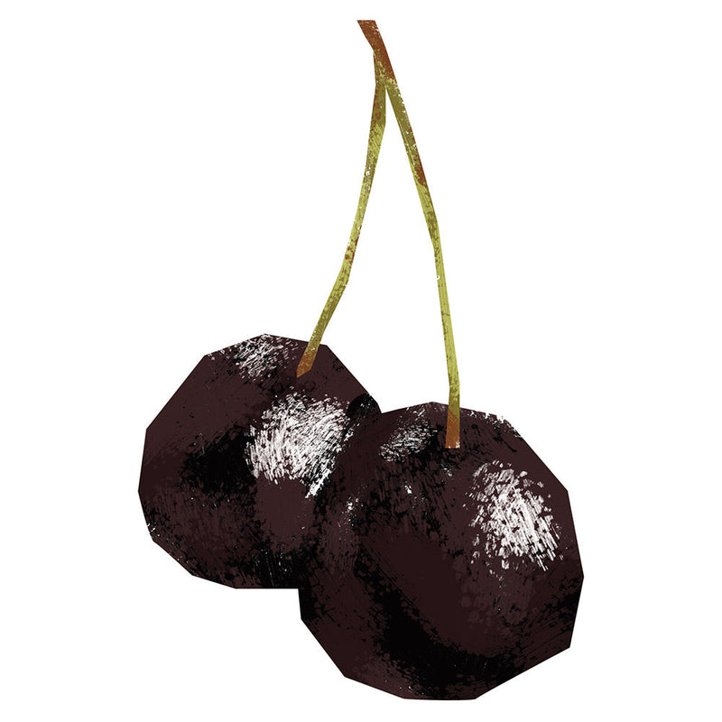 Black Cherry Dark Balsamic Vinegar  (50mL Size)