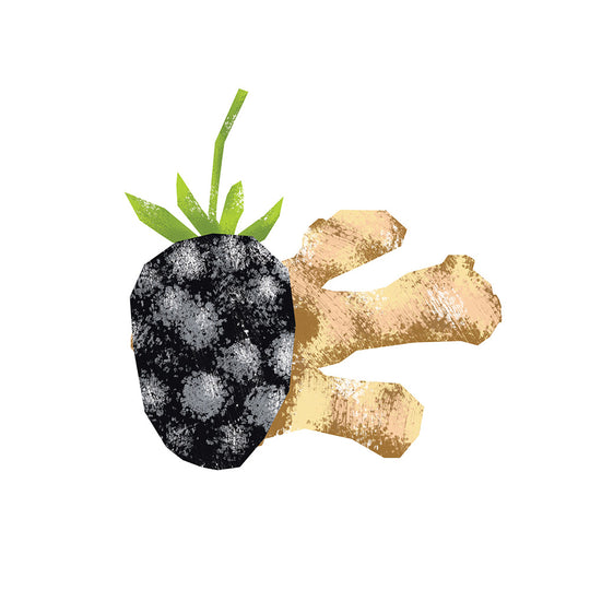 Blackberry Ginger Dark Balsamic Vinegar