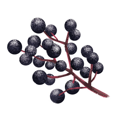 Elderberry Dark Balsamic Vinegar