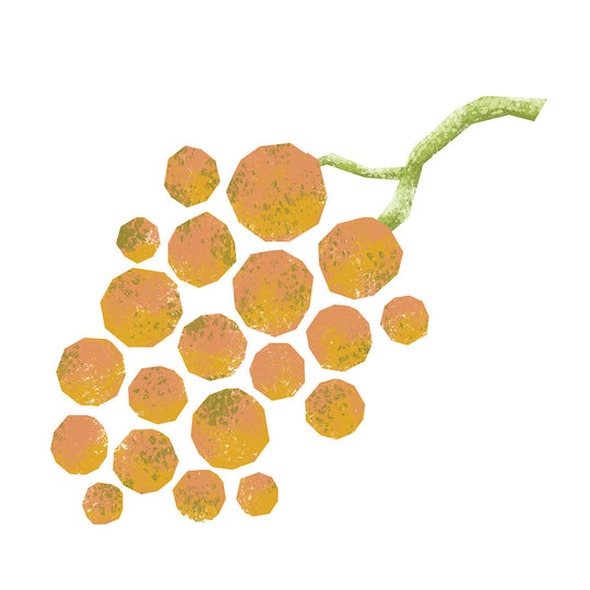 Traditional 18 Year Dark Balsamic