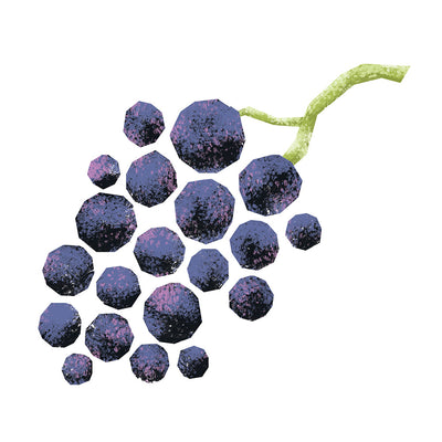 Vinegars