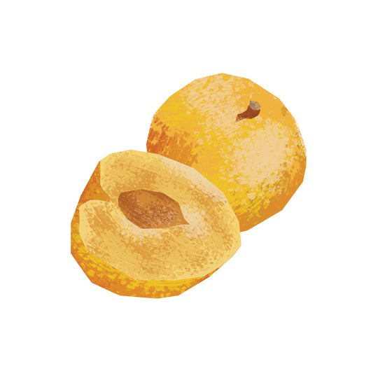 Umeboshi Plum White Balsamic Vinegar