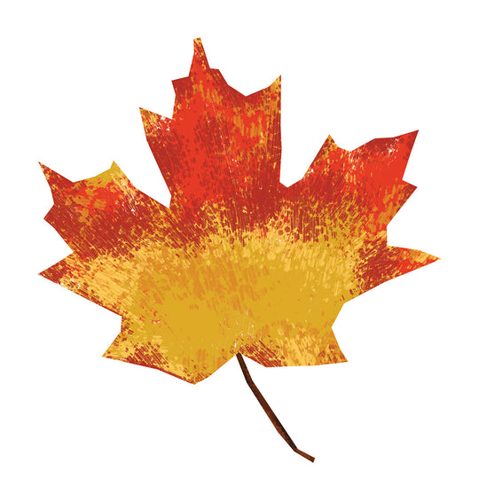 Maple Dark Balsamic Vinegar