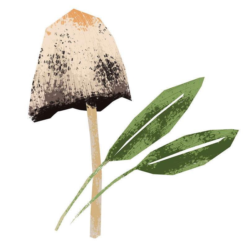 Wild Mushroom & Sage Olive Oil